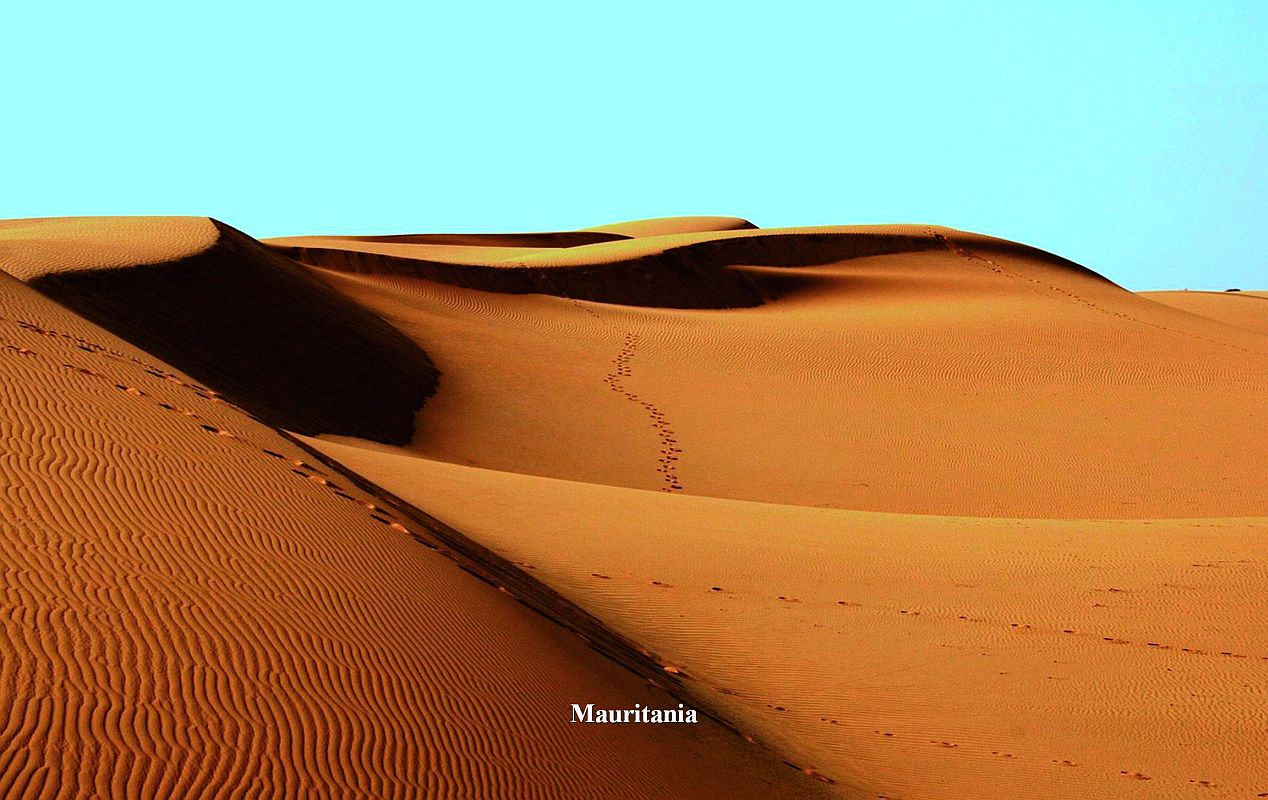2012/ Gen – Il progetto dell’ Associazione Lorenzin in Mauritania